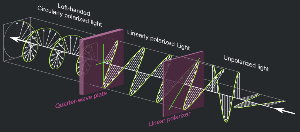 Graphic shows light that is polarized in different ways.