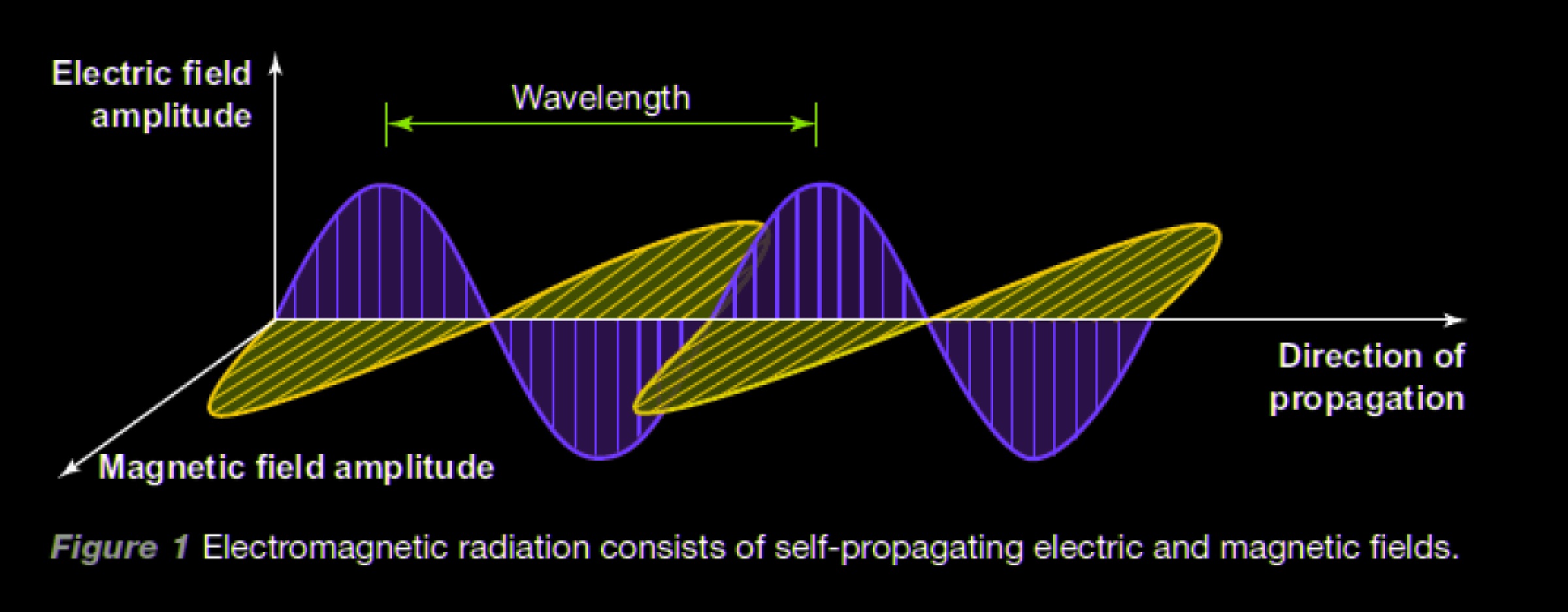 Graphic shows that electromagnetic radiation consists of self-propagating electric and magnetic fields.